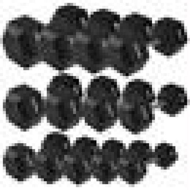 Hantelis HMS HEX PRO 10 KG  21