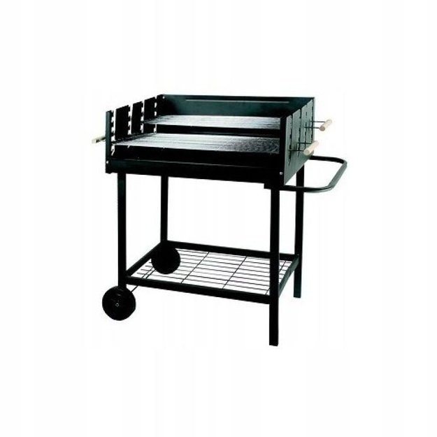 MASTER GRILL PAPRASTAS PROFESIONALAMS MG648