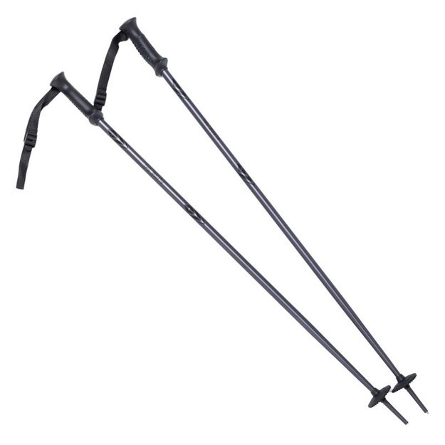 ALPINE SKI II lazdos