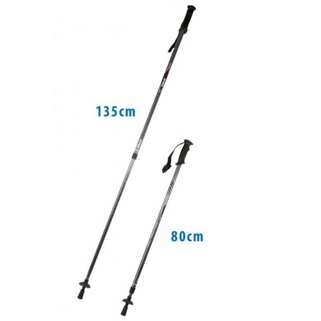 ENERO CLASSIC trekingo lazdos, sidabrinės