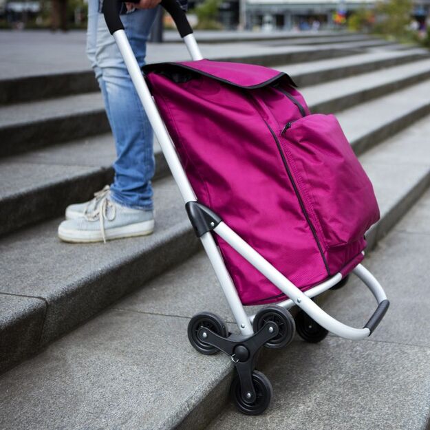 Expert Premium 6 ratukų pirkinių vežimėlis 2