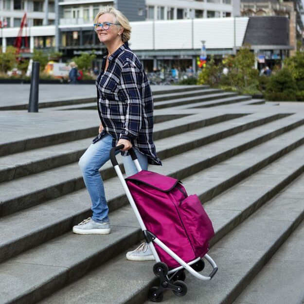 Expert Premium 6 ratukų pirkinių vežimėlis 1