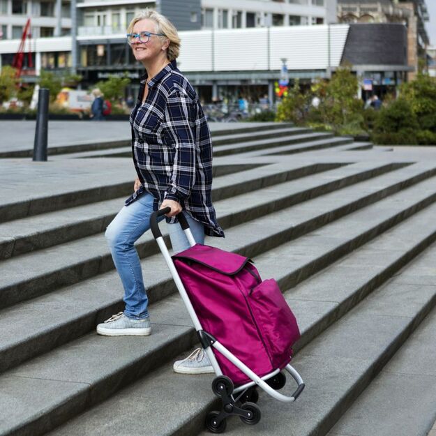 „Cruiser Expert Premium“ pirkinių vežimėlis 5